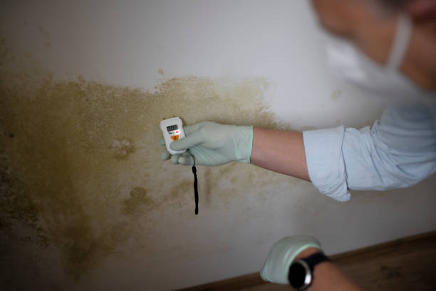 Crawl Space Mold Removal in North Webster, IN